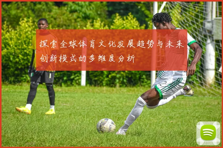 探索全球体育文化发展趋势与未来创新模式的多维度分析