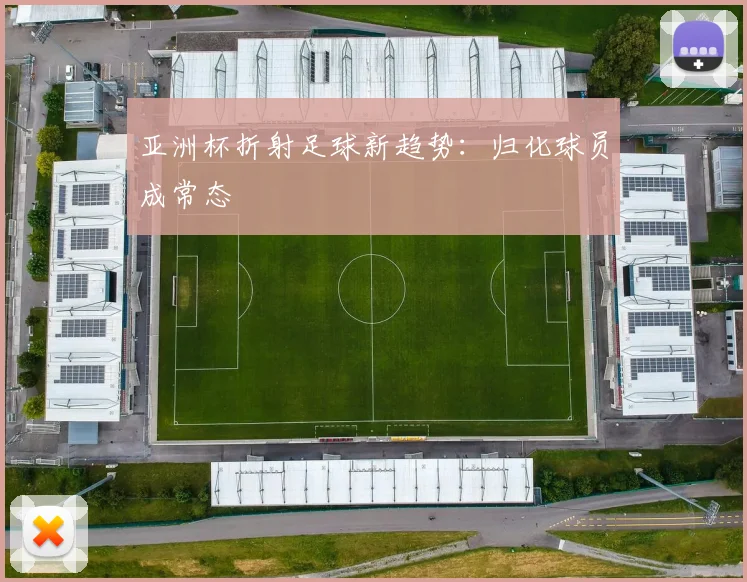 亚洲杯折射足球新趋势：归化球员成常态