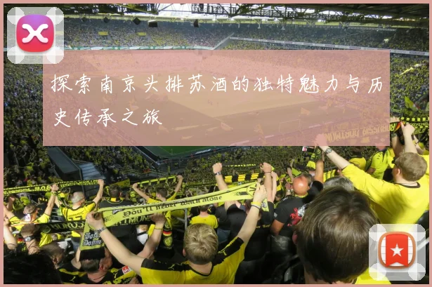 探索南京头排苏酒的独特魅力与历史传承之旅