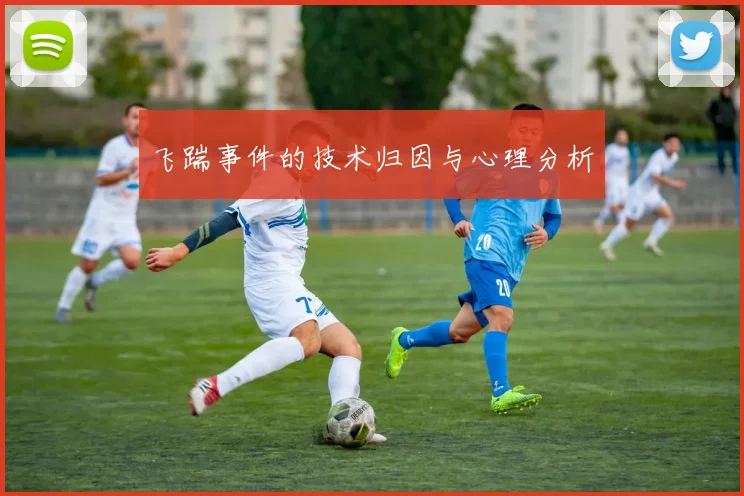 飞踹事件的技术归因与心理分析