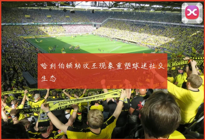 哈利伯顿助攻王现象重塑球迷社交生态