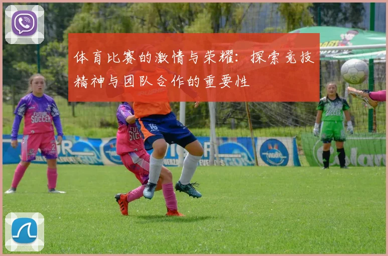 体育比赛的激情与荣耀：探索竞技精神与团队合作的重要性