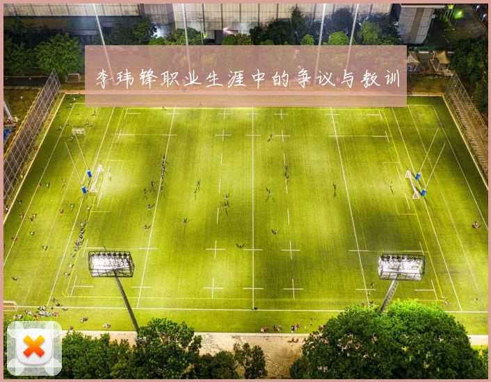 李玮锋职业生涯中的争议与教训